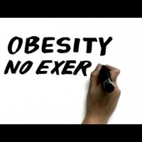23 and 1/2 hours: What is the single best thing we can do for our health?
